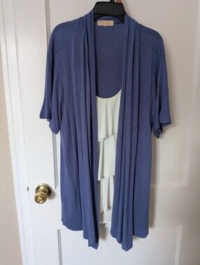 Flowy Ruffled Short Sleeve Top 1X